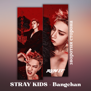 Закладинка STRAY KIDS Bangchan 25018 фото