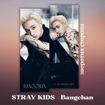 Закладинка STRAY KIDS Bangchan 25035 фото