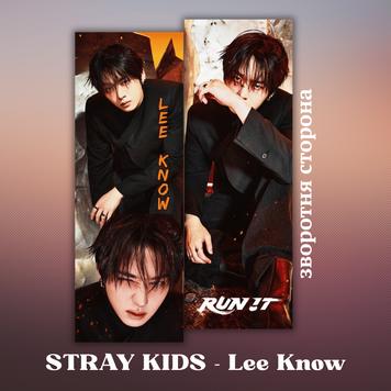 Закладинка STRAY KIDS Lee Know 25019 фото