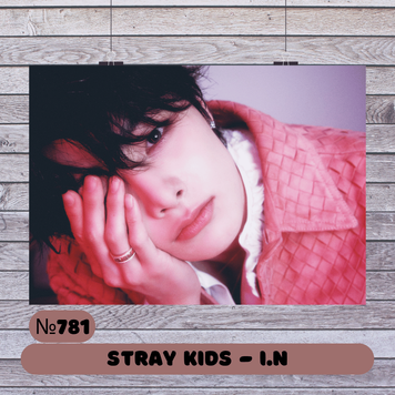 Постер #781 STRAY KIDS I.N 30781 фото