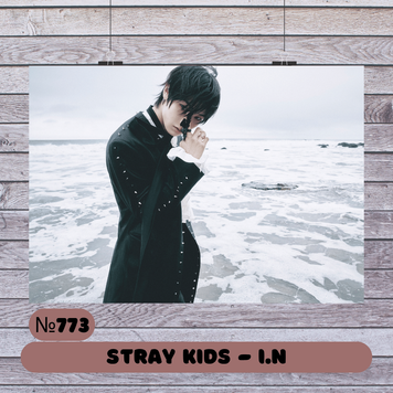 Постер #773 STRAY KIDS I.N 30773 фото