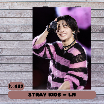 Постер #437 STRAY KIDS I.N 30437 фото